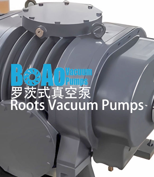 Direct Drive Rotary Vane Vacuum Pumps 2XZ-4